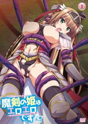 Maken no Hime wa Ero Ero desu: Himekishi no Hiwaina Kousoku
