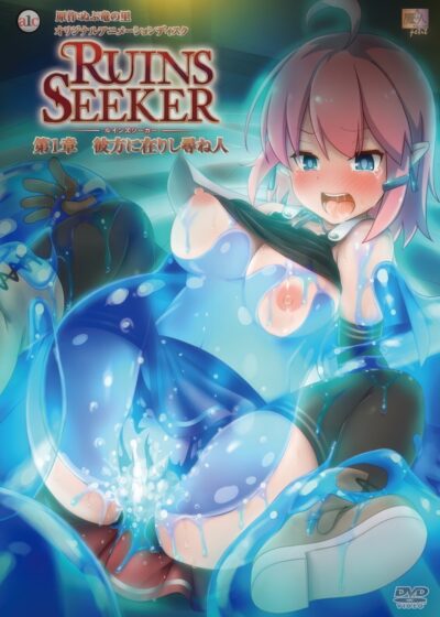 Ruins Seeker Poster