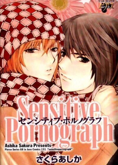 Sensitive Pornograph Poster