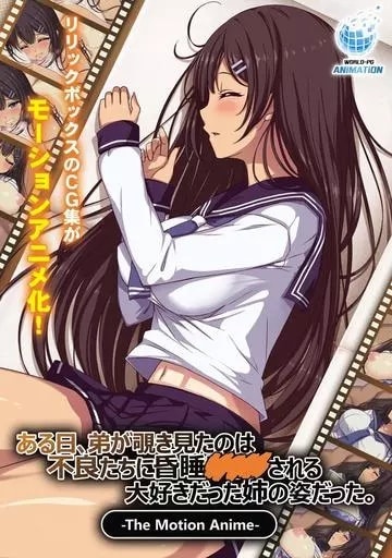 Aru Hi, Otouto ga Nozokimita no wa Furyou-tachi ni Konsui Rape Sareru Daisuki datta Ane no Sugata datta. The Motion Anime